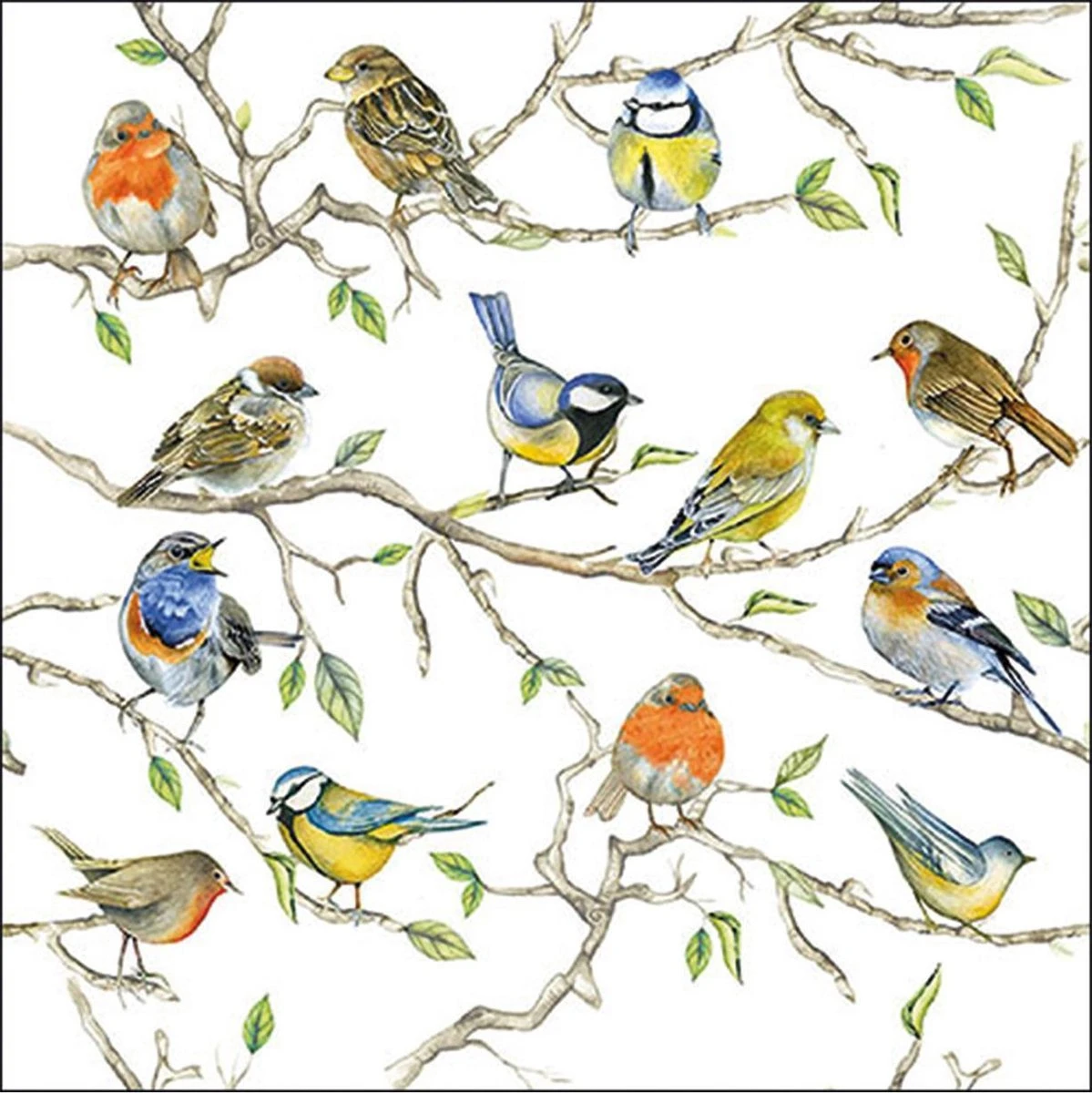 Ambiente - Birds Meeting - Papieren Lunch Servetten - Tuinvogels Thema Print - Roodborstje/pimpelmees/vink 3 Ambiente - Birds Meeting - Papieren Lunch Servetten - Tuinvogels Thema Print - Roodborstje/pimpelmees/vink