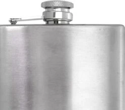 Merkloos Premium RVS Heupfles Met Schroefdop - 200 Ml - 12x9cm -Aigostar winkel 1200x1048