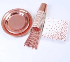 Rose Goud Verjaardag Wegwerp Servies Set - Borden En Bekers Feestartikelen -25 Gasten - Feestservies 11 Rose Goud Verjaardag Wegwerp Servies Set - Borden En Bekers Feestartikelen -25 Gasten - Feestservies -Aigostar winkel 1200x1066