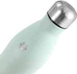 Juicy Blossom Drinkfles - 500ml - Roestvrij Staal - Stainless Steel Bottle - Waterfles - Drinkfles - Thermosfles (Muntgrijs) 15 Juicy Blossom Drinkfles - 500ml - Roestvrij Staal - Stainless Steel Bottle - Waterfles - Drinkfles - Thermosfles (Muntgrijs) -Aigostar winkel 1200x1163