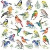 20x Vogels / Dieren Thema Servetten 33 X 33 Cm - Papieren Servetten 3-laags -Aigostar winkel 1200x1195 2