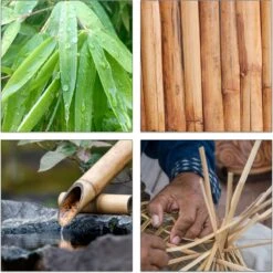 Relaxdays Theedoos 5 Vaks - Theekist - Theezakjeshouder - Bamboe - Voor Ca. 10 Theezakjes 20 Relaxdays Theedoos 5 Vaks - Theekist - Theezakjeshouder - Bamboe - Voor Ca. 10 Theezakjes -Aigostar winkel 1200x1200 883