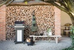 Boretti Totti Houtskoolbarbecue - 60 X 111 Cm - Antraciet -Aigostar winkel 1200x800 199