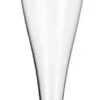 Champagne Glas Met Losse Voet 75/100ml (24 Stuks) Herbruikbaar. 2 Champagne Glas Met Losse Voet 75/100ml (24 Stuks) Herbruikbaar. -Aigostar winkel 414x1200 2